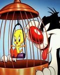 pic for Tweety Bird